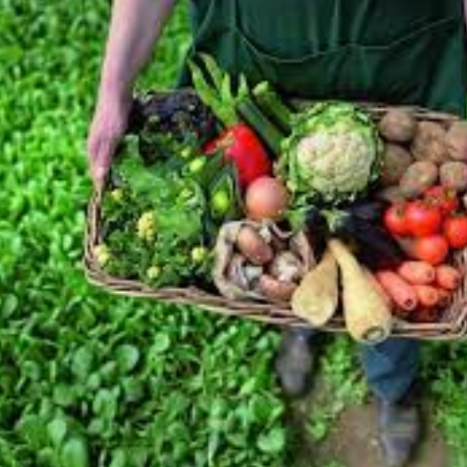 Captura de Tela 2022-06-17 às 23.54.38