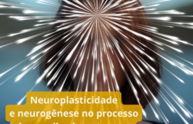 Neuroplasticidade e neurogênese no processo de envelhecimento e em relação à pessoa idosa