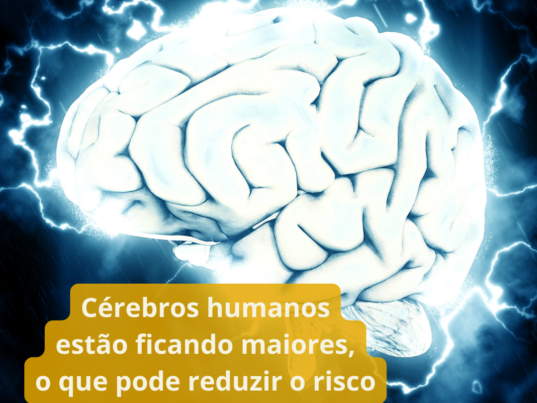 TRABALHO60+ (6)