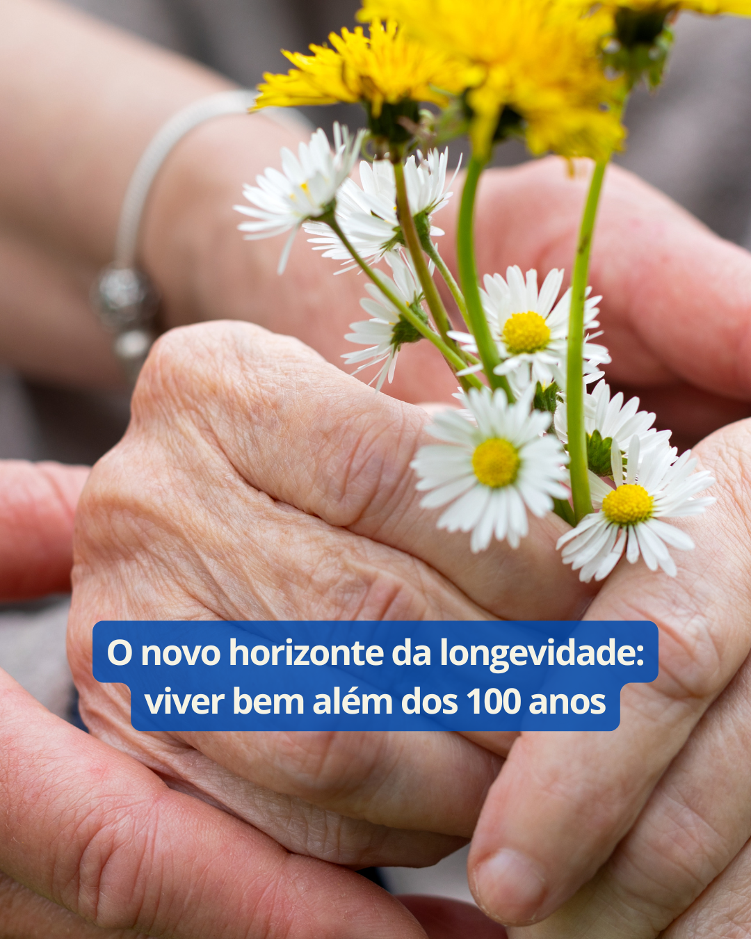 Trabalho 60+ NEWS (8)