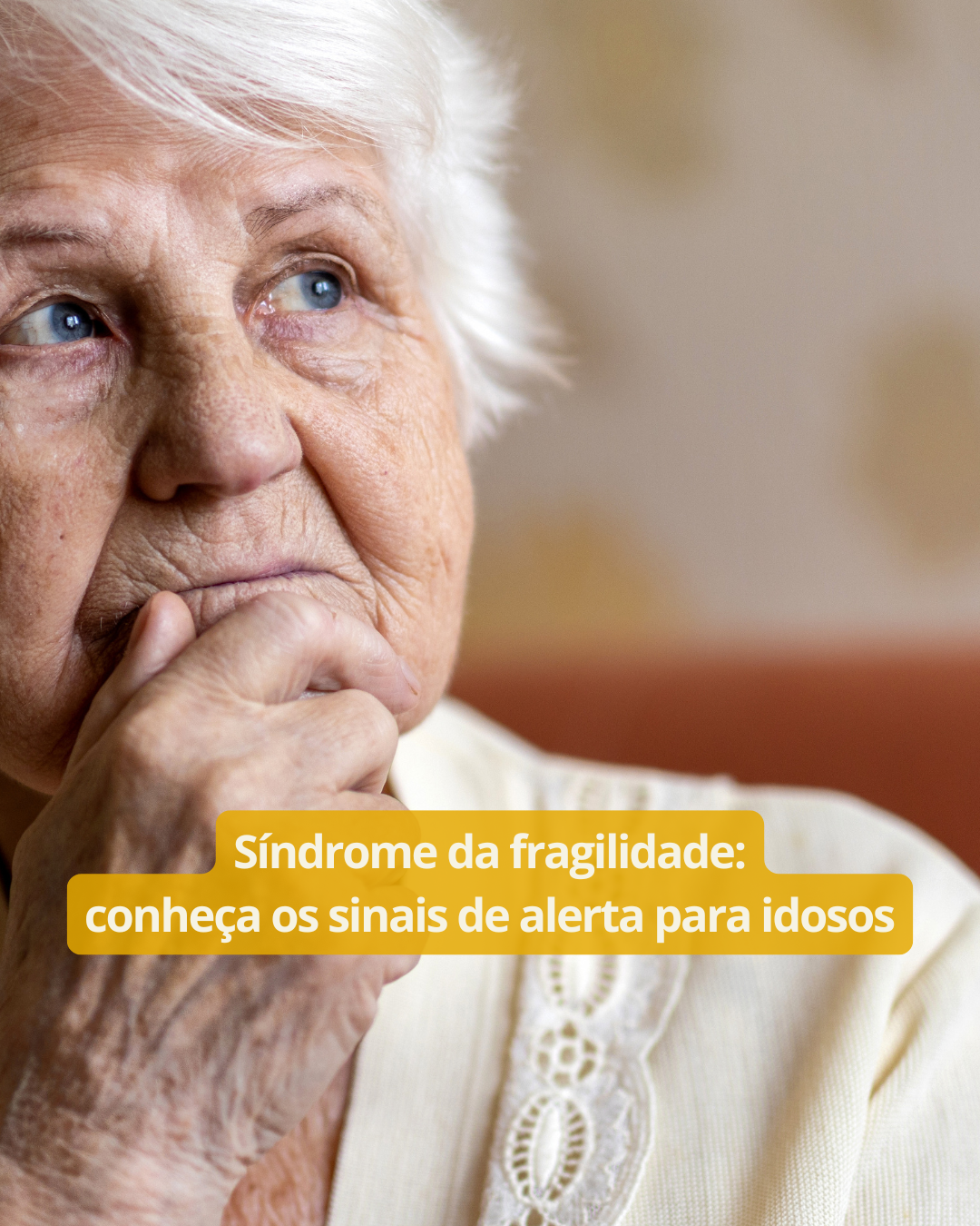 Trabalho 60+ NEWS (8)