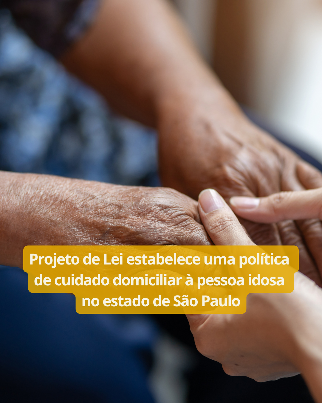 Trabalho 60+ NEWS (4)