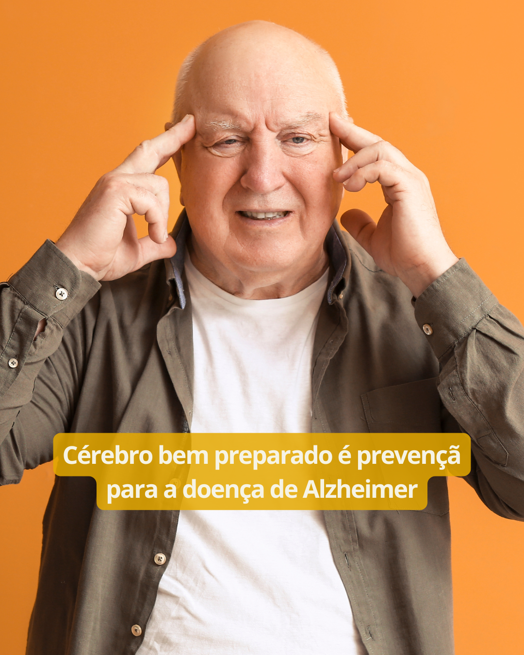 Trabalho 60+ NEWS (8)