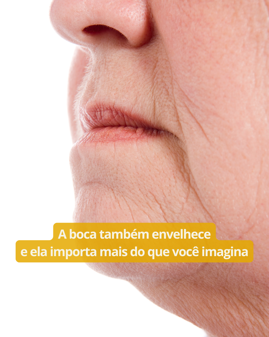 Trabalho 60+ NEWS (12)