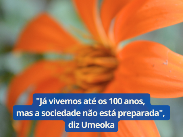 Trabalho 60+ NEWS (13)