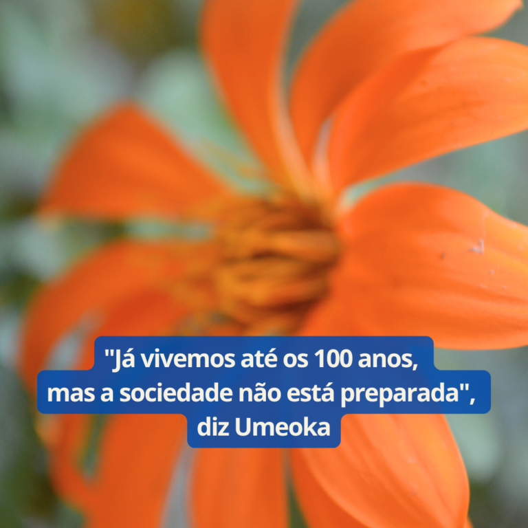 Trabalho 60+ NEWS (13)