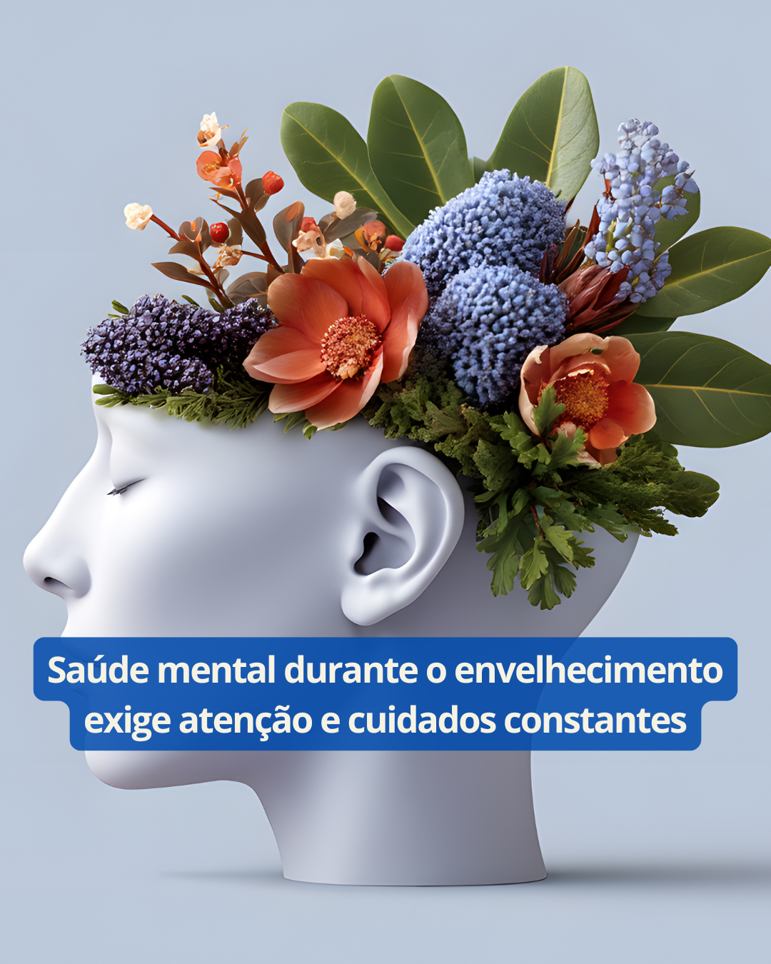 Trabalho 60+ NEWS (4)