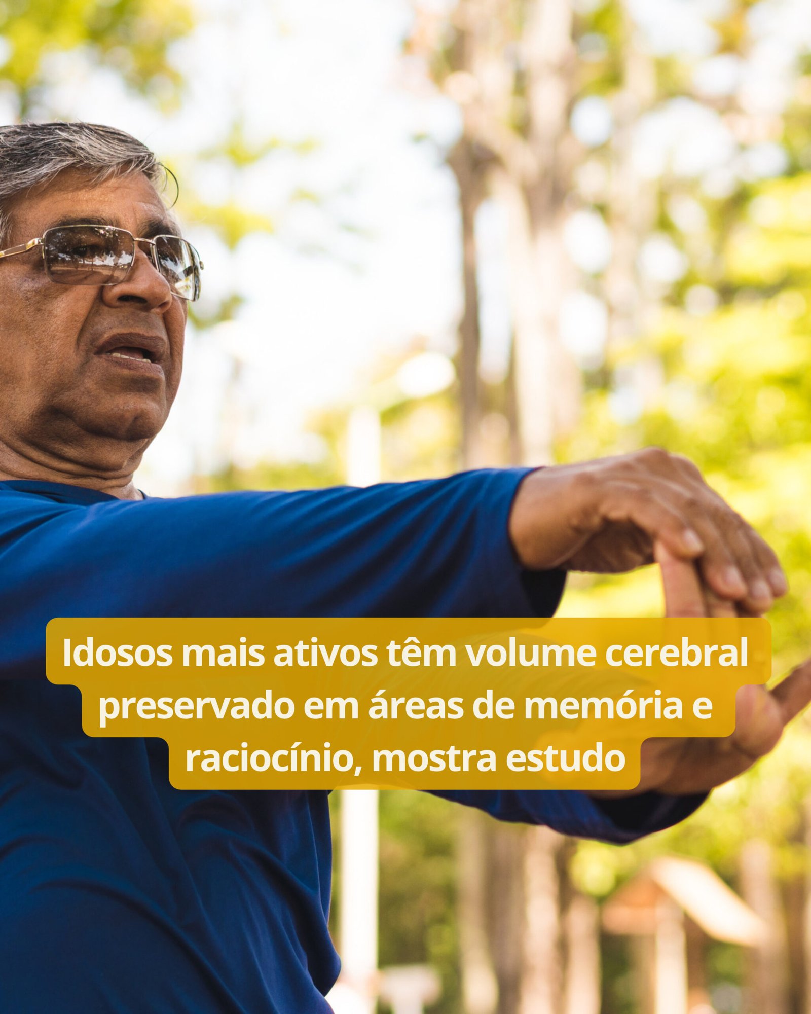 Trabalho 60+ 2026